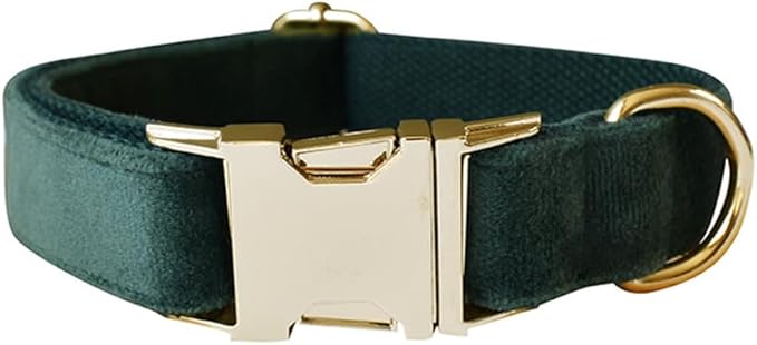 JAY D.L Dog Collar and Leash Set，Soft & Comfy Velvet Dog Collars with Heavy Duty Metal Buckle and Matching Lead Adjustable for Small Medium Large Dogs (Small, Green)