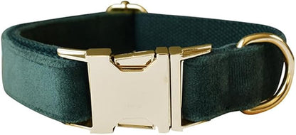 JAY D.L Dog Collar and Leash Set，Soft & Comfy Velvet Dog Collars with Heavy Duty Metal Buckle and Matching Lead Adjustable for Small Medium Large Dogs (Small, Green)