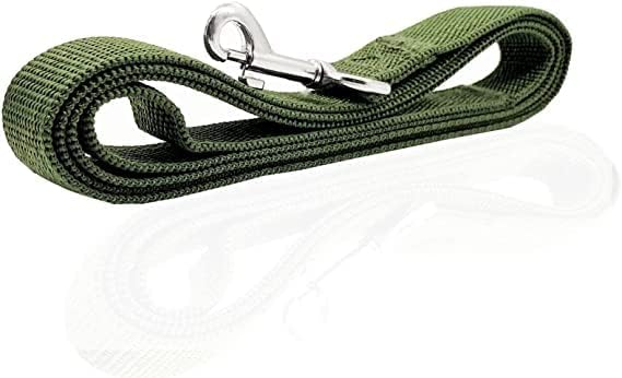 Nylon Dog Leash 8 Feet Long, Walking Training Dog Leashes for Medium Large Dogs(1" X 8 ft, Gree)
