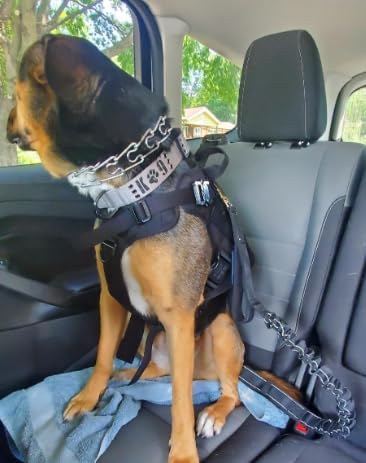 Heavy Duty Bungee Dog Leash - Shock Absorbing, Seat Belt Clip, Quick Release Frog Clasp, Double Padded Handles, for Large and Medium Dogs, Durable for Training, Walking, Car Safety, Outdoor Adventure