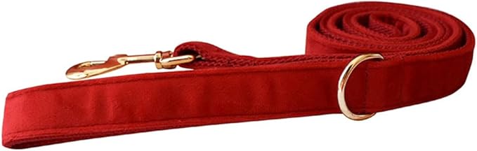 JAY D.L Dog Collar and Leash Set，Soft & Comfy Velvet Dog Collars with Heavy Duty Metal Buckle and Matching Lead Adjustable for Small Medium Large Dogs (Small, Red)