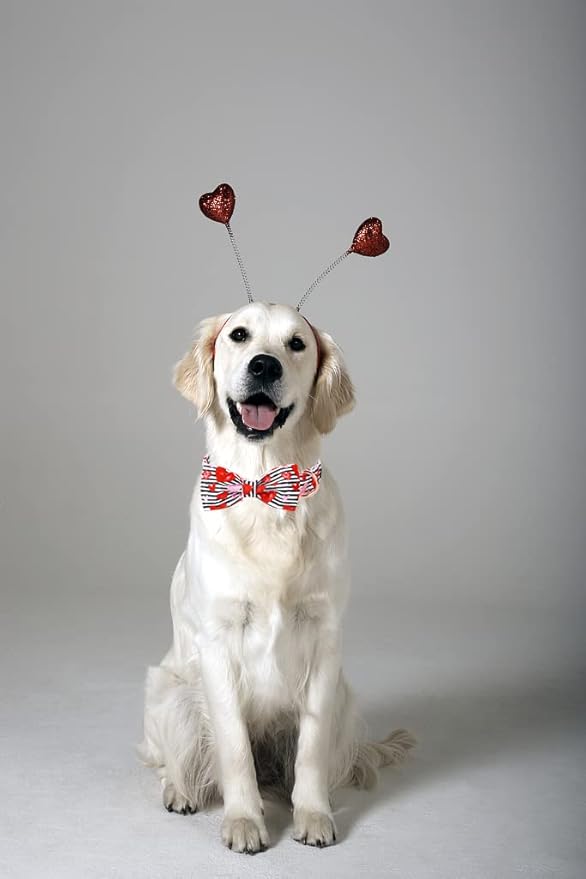 Lionet Paws Valentines Dog Collar with Bowtie, Dog Bowtie Collar with Metal Buckle for Dogs, Adjustable Comfortable Dogs Collars Girl Boy Hearts, S, Neck 10-16 in