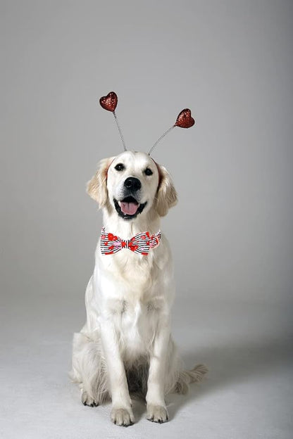 Lionet Paws Valentines Dog Collar with Bowtie, Dog Bowtie Collar with Metal Buckle for Dogs, Adjustable Comfortable Dogs Collars Girl Boy Hearts, S, Neck 10-16 in
