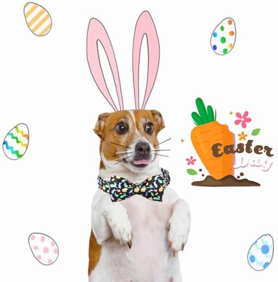 Unique style paws Easter Dog Collar with Bow Easter Eggs Chicken Collar with Flower for Small Medium Large Boys Girls Dogs