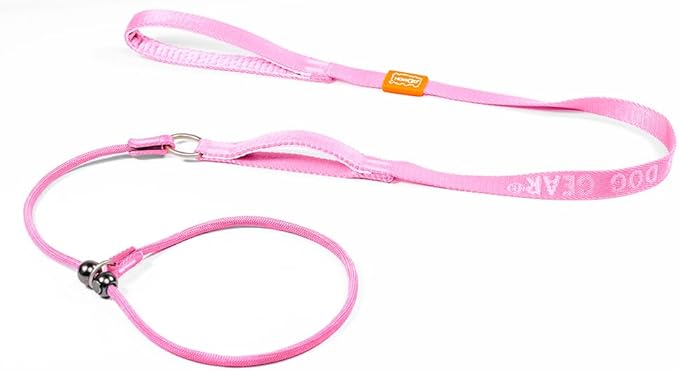 Howgo Dog Slip Lead Dog Leash, Training Lead, No-Pull Slip Leash and Collar, Heavy Duty & Durable Nylon, Padded Handle, for All Breeds (Pink, 5FT)