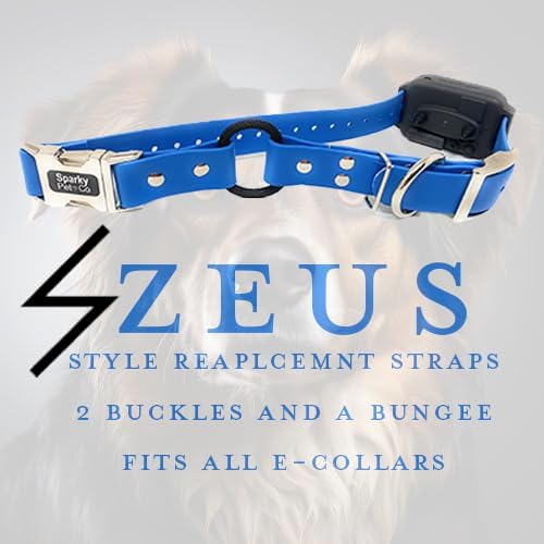 Sparky Pet Co - Zeus ECollar Replacement Strap - Bungee Loop Dog Collar - Waterproof Biothane - Adjustable - Double Buckle - Quick Snap Metal Clasp - for Invisible Fence Systems 1"x 30" Blue