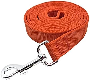 Strong Nylon Dog Leash with 2-Layer, 4 FT/ 6 FT/ 7FT Long, 1 Inch Wide for Medium Large Dogs (Orange, 1'' x 2 FT)