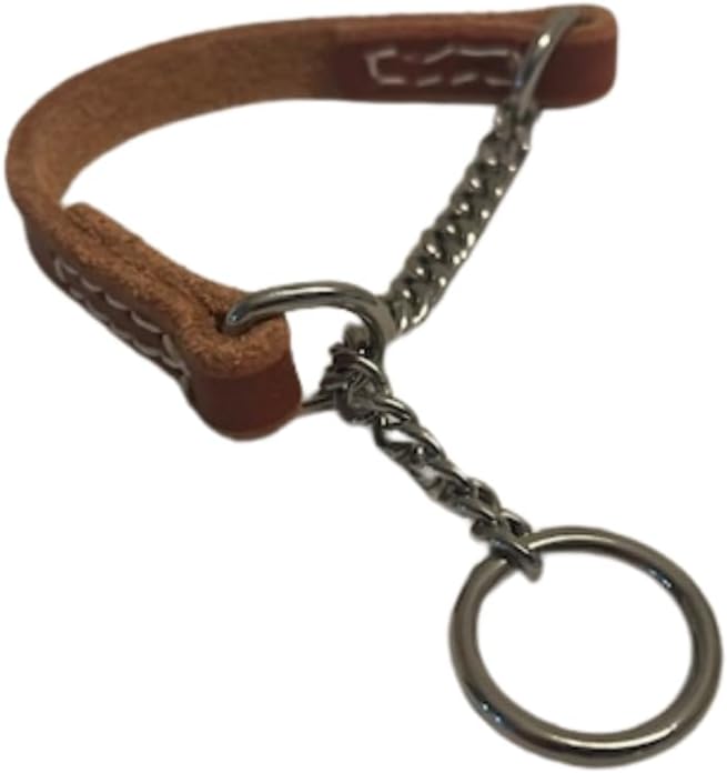 Joel Silverman - Alternative Training Collar - Gentle No-Pull Dog Collar - Leather & Chain Combo for Humane, Low-Neck Control - Trainer-Trusted Leather Dog Collar for All Breeds (Extra Extra Small)