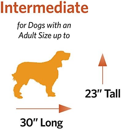 MidWest Homes for Pets 36-Inch iCrate Folding Dog Crate with Divider Panel, Leak-Proof Tray & Secure Latches – Metal Wire Kennel for Medium Large Breeds – Portable, Durable & Easy to Assemble