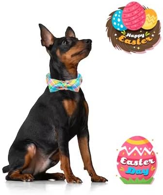 Unique style paws Easter Dog Collar with Bow Easter Eggs Chicken Collar with Flower for Small Medium Large Boys Girls Dogs