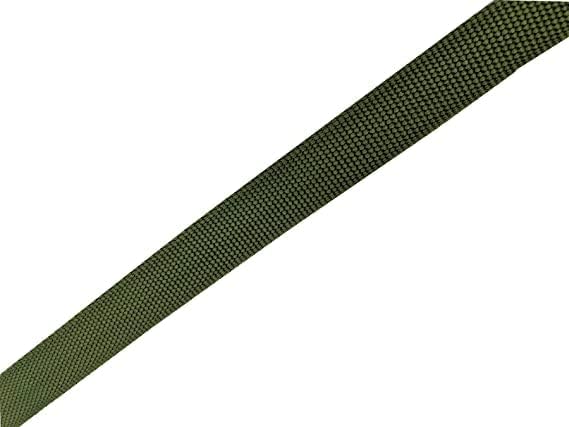 Nylon Dog Leash 8 Feet Long, Walking Training Dog Leashes for Medium Large Dogs(1" X 8 ft, Gree)