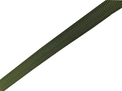 Nylon Dog Leash 8 Feet Long, Walking Training Dog Leashes for Medium Large Dogs(1" X 8 ft, Gree)