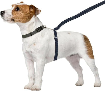 ThunderLeash No-Pull Dog Leash (Large (Over 25 lbs), Black)