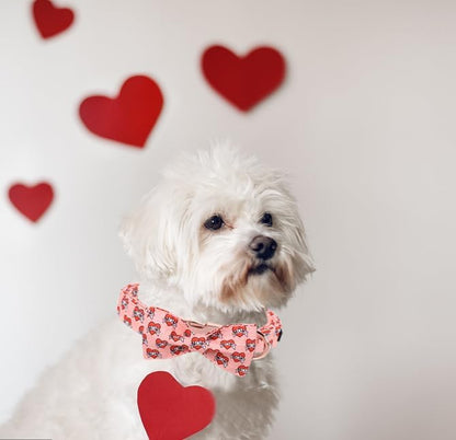 Unique Style Paws Valentiene's Day Dog Collar with Bow Heart Print Cotton Dog Collars Collar for Small Medium Large Dogs New