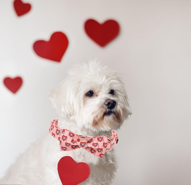 Unique Style Paws Valentiene's Day Dog Collar with Bow Heart Print Cotton Dog Collars Collar for Small Medium Large Dogs New