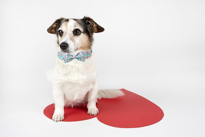 Lionet Paws Valentines Dog Collar Bowtie, Dog Bowtie Collar with Metal Buckle for Dogs, Adjustable Fabric Dogs Collars Girl Boy, XL, Neck 16-26 in