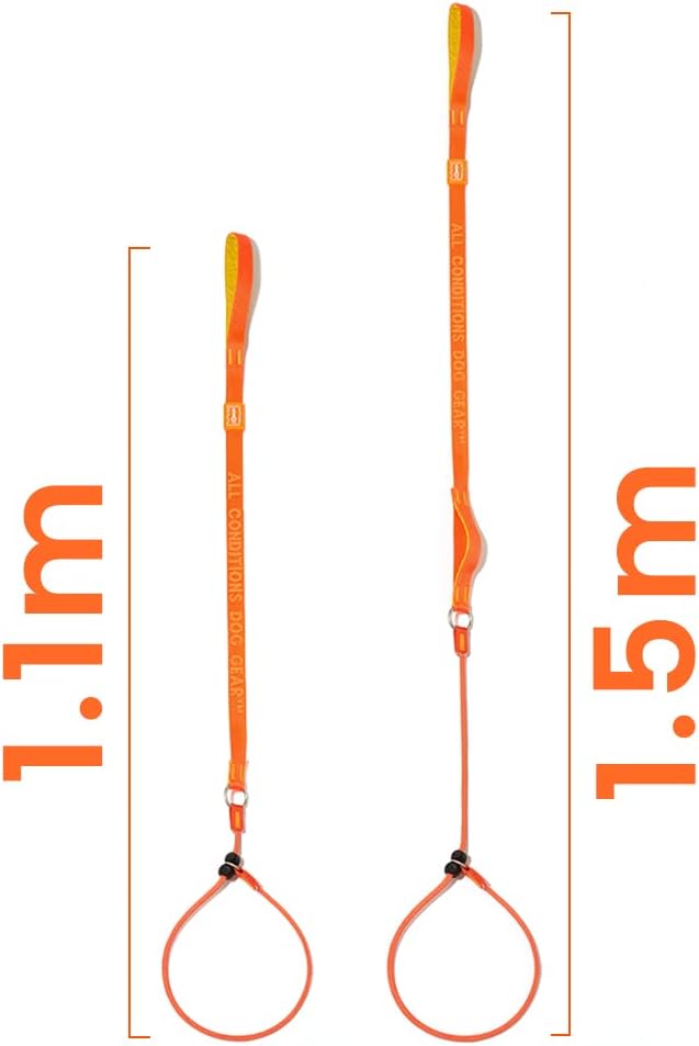 Howgo Dog Slip Lead Dog Leash, Training Lead, No-Pull Slip Leash and Collar, Heavy Duty & Durable Nylon, Padded Handle, for All Breeds (Multicolor, 3.6FT)