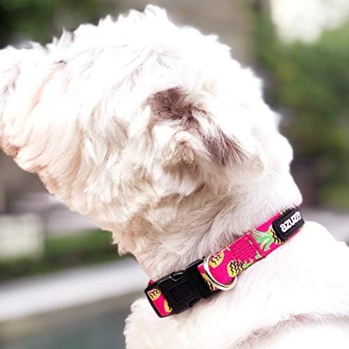 azuza Dog Collar and Leash Set, Pineapple Patterns on Nylon Collar and Matching Leash, Great Option for Medium Dogs