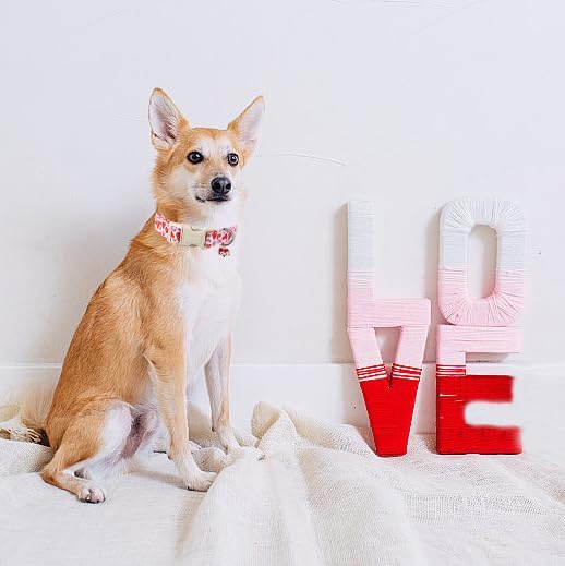 Lionet Paws Valentine's Dog Collar- Cute Pink Wink Heart Dog Collars with Plastic Buckle, Light Adjustable Dog Collars for Medium Dogs