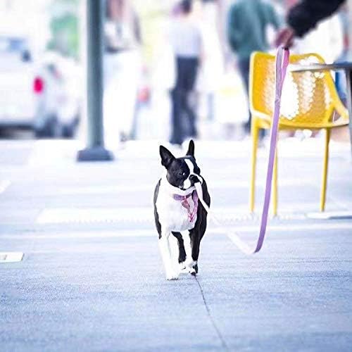 ARING PET Dog Collar and Leash, Velvet Dog Collar and Leash Set, Soft & Comfy, Adjustable Collars for Dogs
