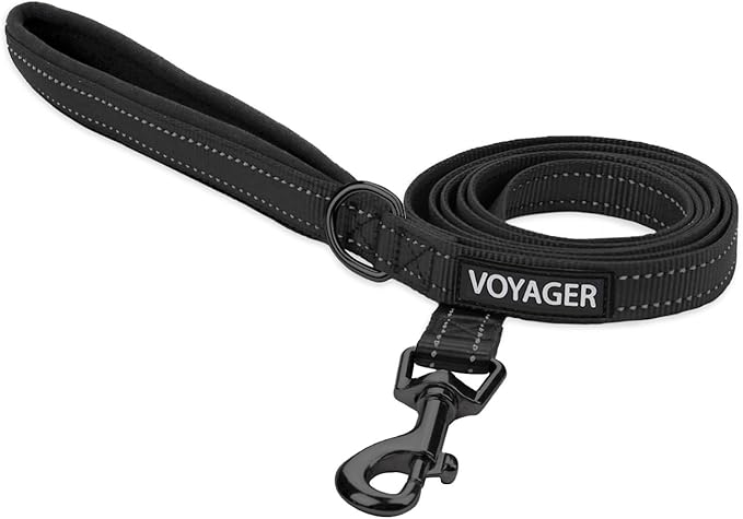 Best Pet Supplies Voyager Reflective Dog Leash or Collar with Neoprene Handle, for Small, Medium, and Large Breed Puppies, Cute and Heavy Duty for Walking, Running and Training - Black Leash, L