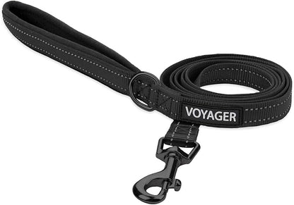 Best Pet Supplies Voyager Reflective Dog Leash or Collar with Neoprene Handle, for Small, Medium, and Large Breed Puppies, Cute and Heavy Duty for Walking, Running and Training - Black Leash, L