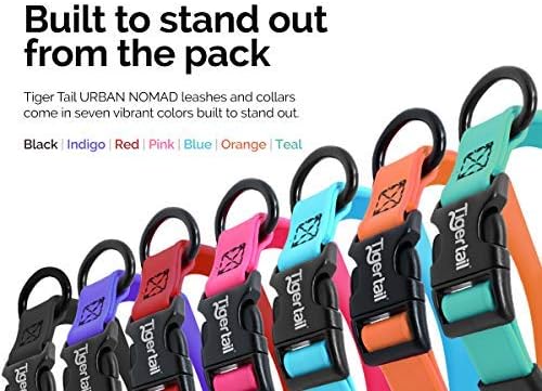 Tiger Tail Small Sky Blue Dog Collar | Waterproof and Odor-Proof for Active Pets | Durable, Anti-Mat, and Lightweight Design | Made with Premium Coated Nylon | Suitable for Small Breed Dogs