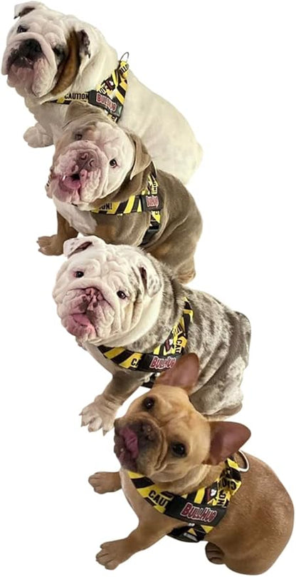 BULLHUG Adjustable Dog Harness– No Pull, No Choke – for English Bulldogs, French Bulldogs, Pugs & Broad-Chested Breeds – Easy, Safe Walks (Caution, Medium)