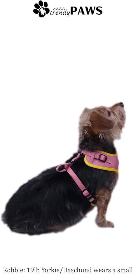 TrendyPaws Dog Harness, Collar and Leash Set, Breathable Mesh, S/M/L Sizes (Rose Gold, Large)