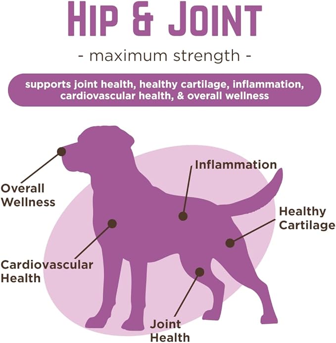 Dr. Joseph's VetPro Complete Dog Hip & Joint Supplement for Arthritis Pain Relief – High-Strength Glucosamine & Chondroitin Chews for Senior Dogs – Vet Formulated, Peanut Butter Flavor, 60 Ct