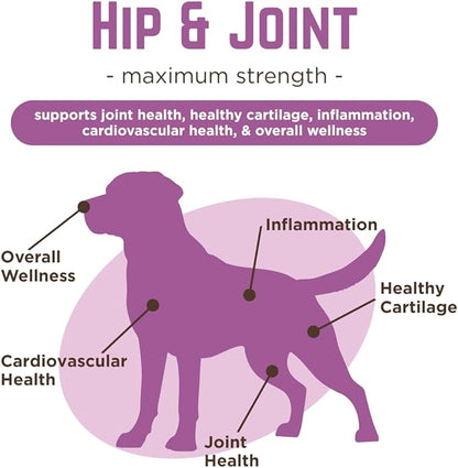 Dr. Joseph's VetPro Complete Dog Hip & Joint Supplement for Arthritis Pain Relief – High-Strength Glucosamine & Chondroitin Chews for Senior Dogs – Vet Formulated, Peanut Butter Flavor, 120 Ct