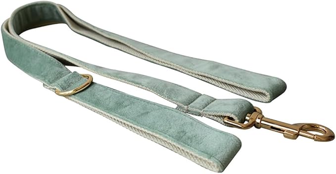 JAY D.L Dog Collar and Leash Set，Soft & Comfy Velvet Dog Collars with Heavy Duty Metal Buckle and Matching Lead Adjustable for Small Medium Large Dogs (Medium, Mint Green)