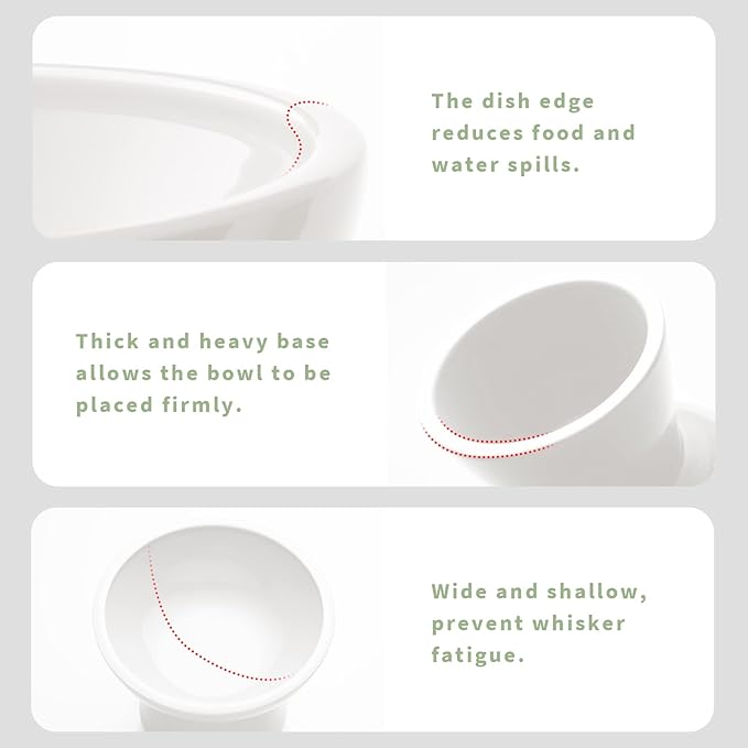 CEEFU 2 Elevated Ceramic Cat Bowls Extra Wide for Food & Water – Whisker Fatigue Shallow Food Dish, Lead & Cadmium-Free, Raised Height for Cats and Dogs, Two Different Depth Bowls, White