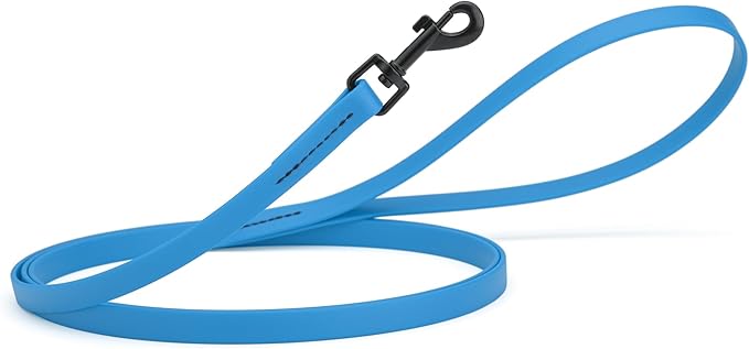 Dogline Biothane Waterproof Dog Leash 2/4/6 Ft Strong Coated Nylon Webbing with Black Hardware Odor-Proof Easy to Clean High Performance for Small or Large Dogs Made in USA, Cerulean Blue