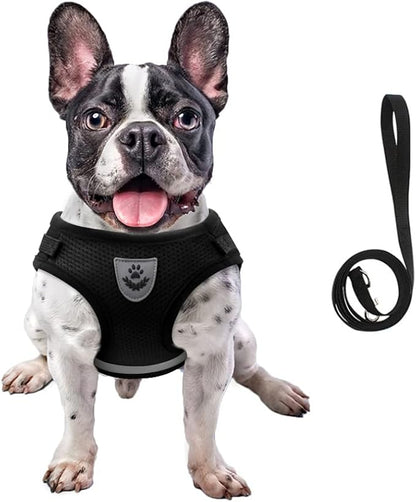 FEimaX Dog Harness and Leash Set for Walking, Soft Mesh Adjustable Easy Control Lightweight Cat Vest Harnesses with Reflective Strips, Escape Proof Small Dogs Cats Vests (Black, X-Large)
