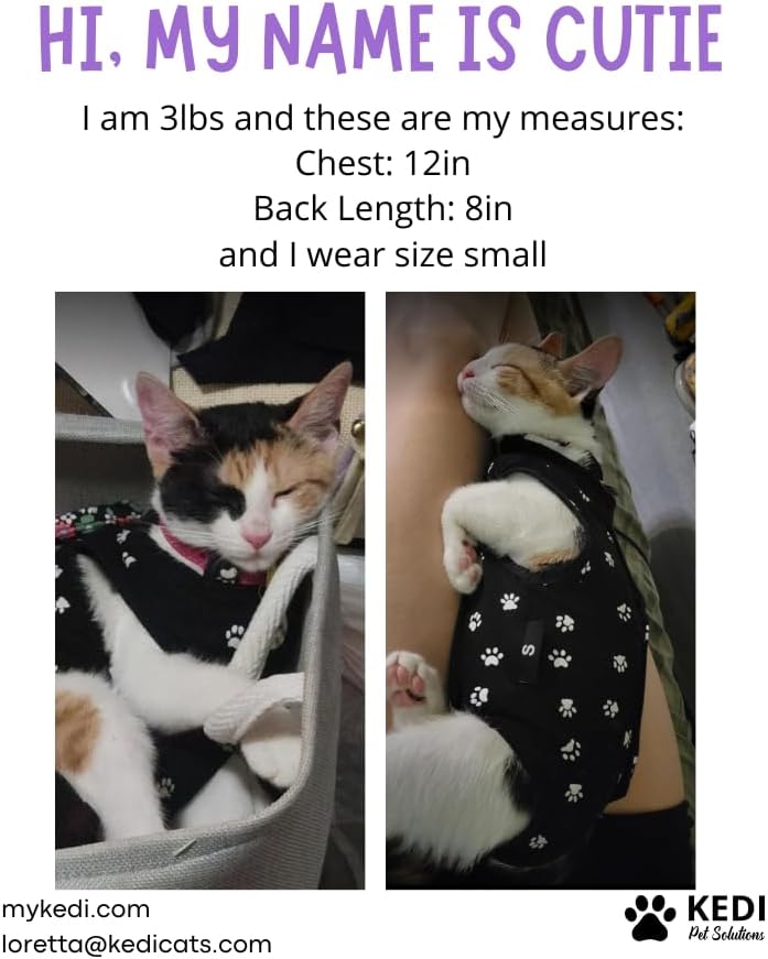 Kitten Recovery Suit Female, Kitten Onesie After Spay, Cat Surgery Suit Female After Surgery, Cone alternatives for Cats (Pink, Small)