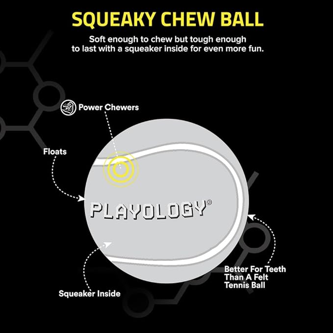 Playology Dog Toys | Squeaky Chew Ball - Bouncy Durable Floating Fetch Ball for Dogs, Value 2-Pack | Medium Beef Scented Toy - Easy to Clean and Made from Non Toxic Materials