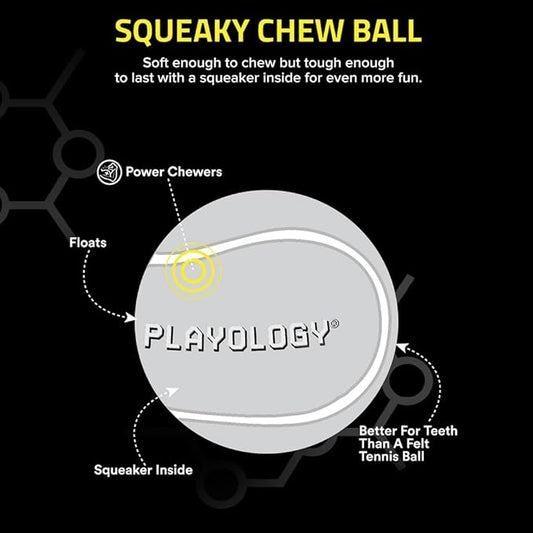Playology Dog Toys | Squeaky Chew Ball - Bouncy Durable Floating Fetch Ball for Dogs | Medium Chicken Scented Toy - Easy to Clean and Made from Non Toxic Materials