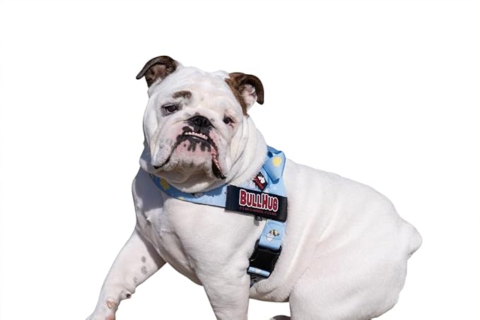BULLHUG Adjustable Dog Harness– No Pull, No Choke – for English Bulldogs, French Bulldogs, Pugs & Broad-Chested Breeds – Easy, Safe Walks (Bumble BEE, XS)