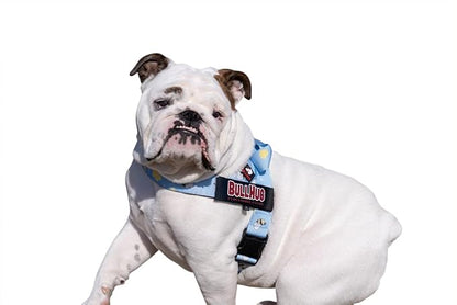 BULLHUG Adjustable Dog Harness– No Pull, No Choke – for English Bulldogs, French Bulldogs, Pugs & Broad-Chested Breeds – Easy, Safe Walks (Bumble BEE, Medium)