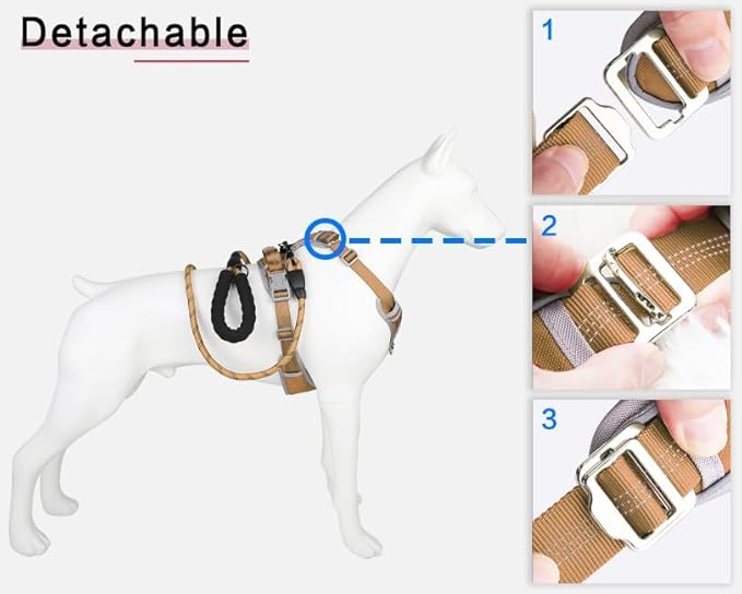 Paawpal Adjustable Dog Harness - No Pull, Reflective, Soft Padded for Small, Medium, Large Dogs - Includes Leash Beige S