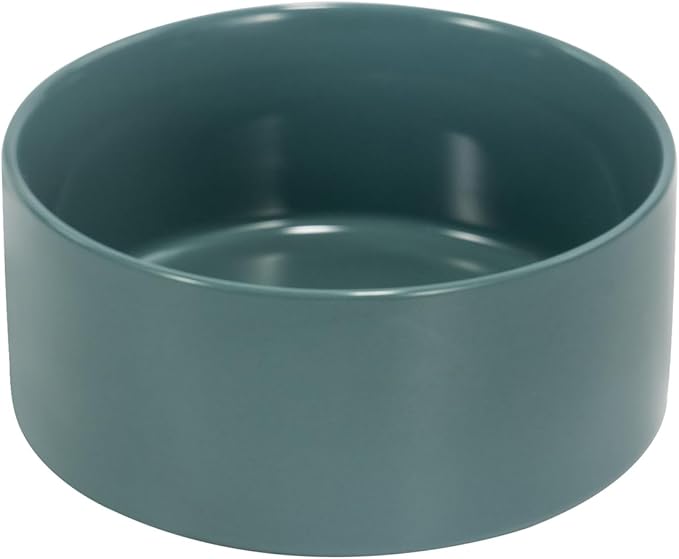 SPUNKYJUNKY 28.7OZ Ceramic Dog and Cat Bowl, Modern Cute Weighted Food Water Bowl for Replacement Light Green (1 Pack)
