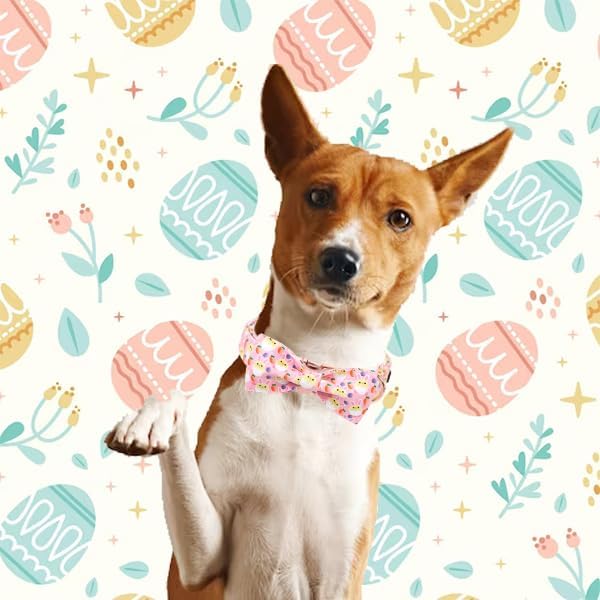Unique style paws Easter Dog Collar with Bow Easter Eggs Chicken Collar with Flower for Small Medium Large Boys Girls Dogs