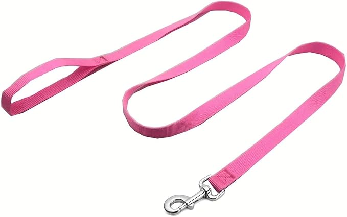 Strong Nylon Dog Leash, 4FT/ 5 FT/ 6FT Dog Leashes for Small Medium Dogs