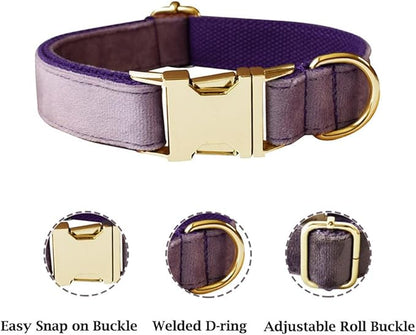 JAY D.L Dog Collar and Leash Set，Soft & Comfy Velvet Dog Collars with Heavy Duty Metal Buckle and Matching Lead Adjustable for Small Medium Large Dogs (XLarge, Purple)