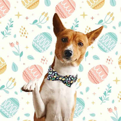 Unique style paws Easter Dog Collar with Bow Easter Eggs Chicken Collar with Flower for Small Medium Large Boys Girls Dogs