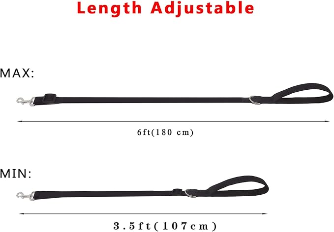 6FT/ 10FT Adjustable Dog Leash, Nylon Dog Leashes for Medium Large Dogs (10FT, Orange)