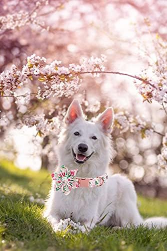 Lionet Paws Dog Collar with Flower, Soft and Comfortable, Adjustable Collar for Medium Dogs Girl, Neck 13.5-22 inches