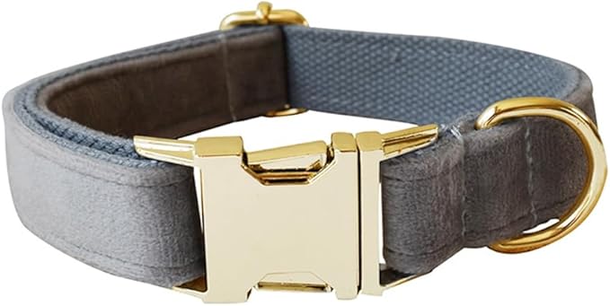 JAY D.L Dog Collar and Leash Set，Soft & Comfy Velvet Dog Collars with Heavy Duty Metal Buckle and Matching Lead Adjustable for Small Medium Large Dogs (Large, Silver Grey)