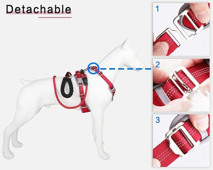 Dog Harness and Leash Set – Adjustable Dog Collar and Vest Harness for Dogs, Durable Pechera para Perros Medianos – Arnes Perro with Leash– S, M, L, XL Dog Harness and Leash Set